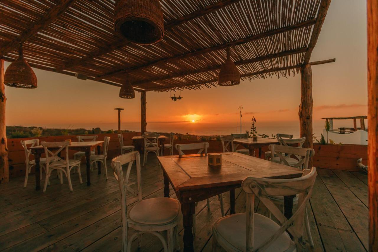 Nest Baja Hotell San José del Cabo Exteriör bild